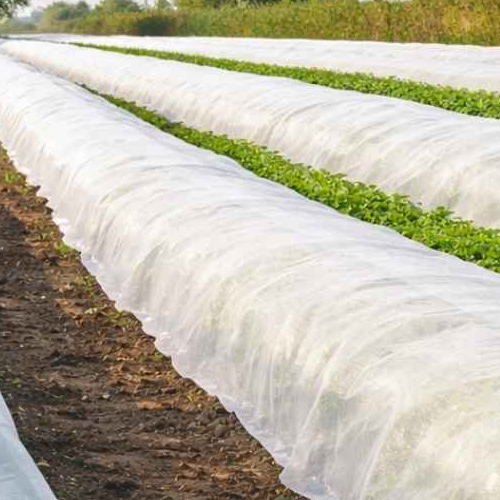  Agriculture 